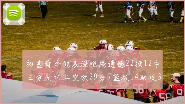 约基奇全能表现难掩遗憾22投12中三分五中二空砍29分7篮板14助攻3抢断